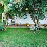 Geko\'S House